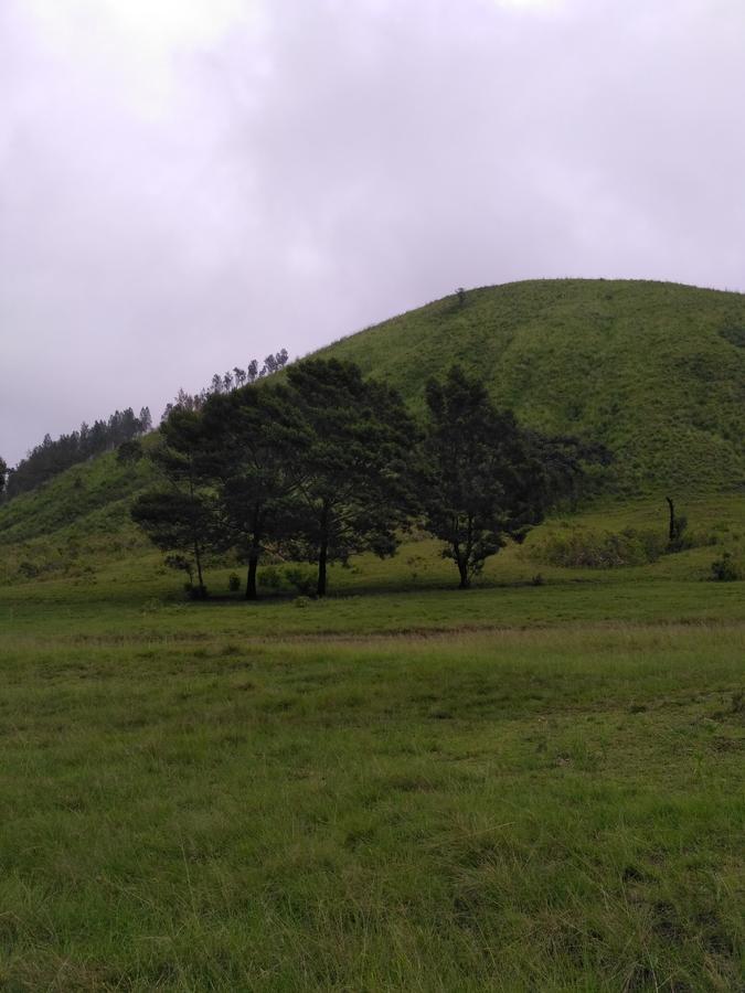 Ljen Volcano Bed N Tour Licin Luaran gambar