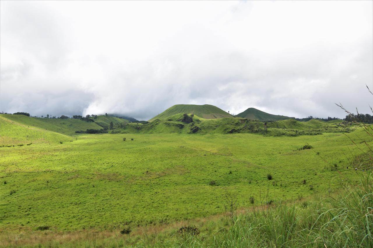 Ljen Volcano Bed N Tour Licin Luaran gambar